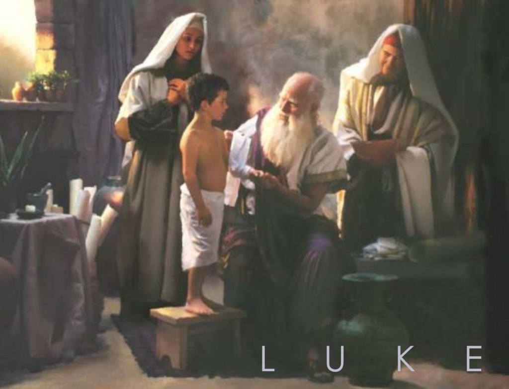 lucas 15 darwin