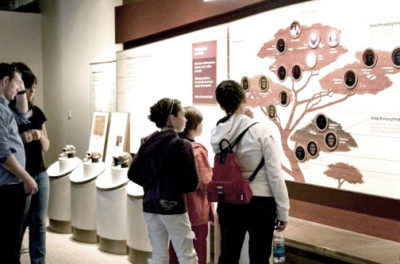 Smithsonian Human Evolution Exhibit