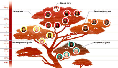 smithsonian-homo-sapiens-tree1-980x565