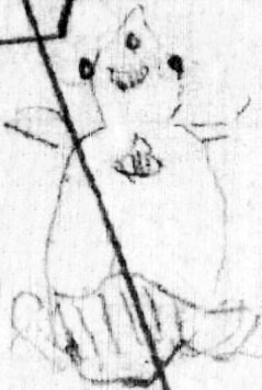 Darwin's Frog Sketch
