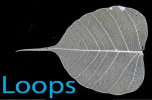 Loops in Leaf