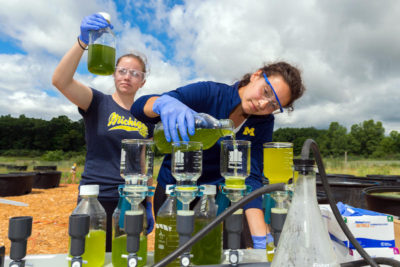 Cardinale Collection