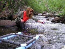 Cardinale Stream Collection