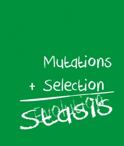 Mutation Selection Stasis