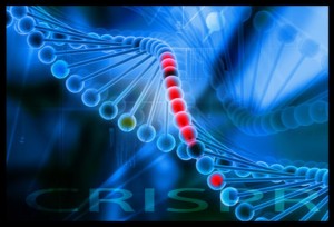 CRISPR II