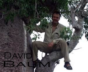 David Baum