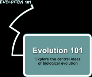 evolution 101