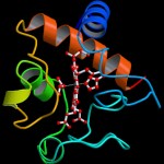 Cytochrome C 15 09 V