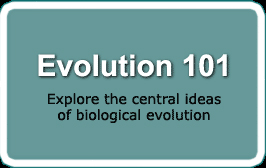 evolution 101 II