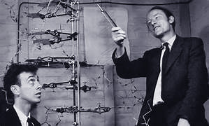 watson-and-crick