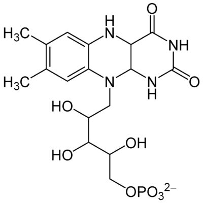 Luciferin Bacterial