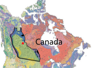Terrestrial dinosaur in marine sediment found in Canada