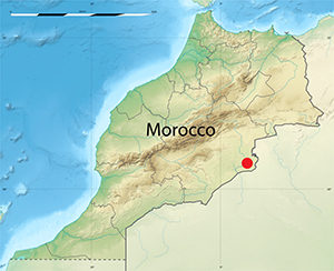 Terrestrial dinosaur in marine sediment found in Africa